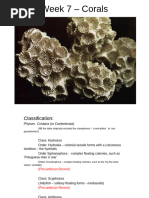 Anthozoa: Coral Morphology & Distribution | PDF | Coral