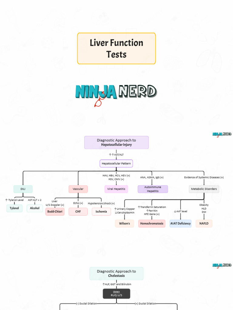 Liver Function Tests and Diagnosis Guide | PDF | Medical Specialties ...