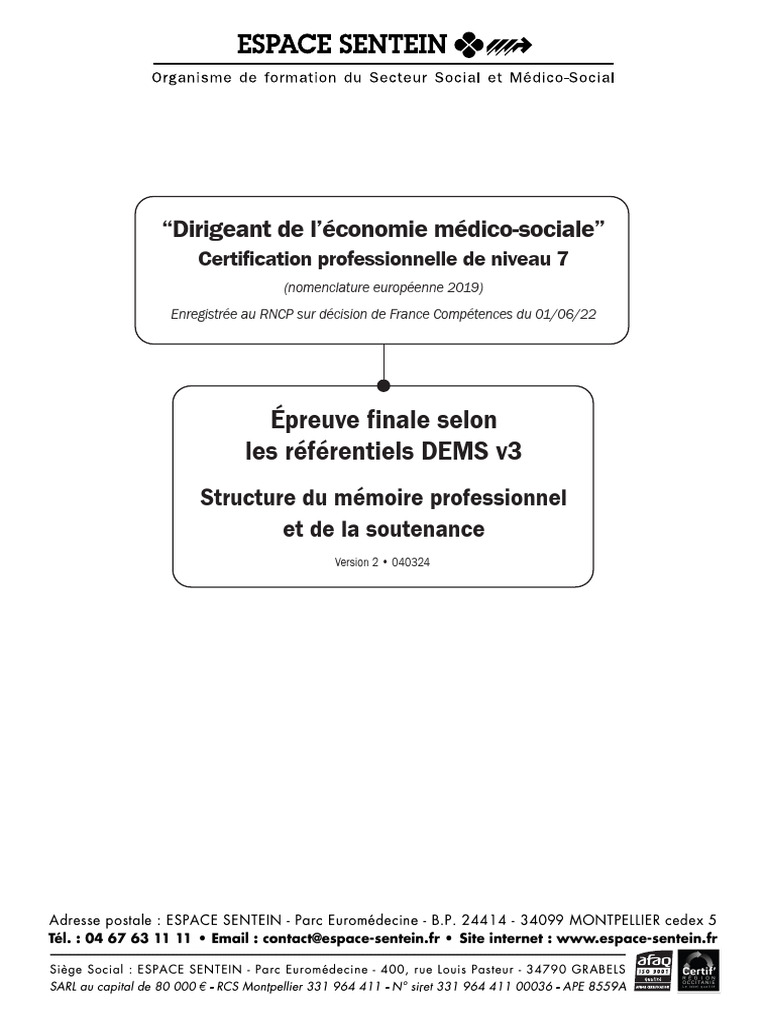 Structure du mémoire DEMS v3 | PDF | Plagiat | Responsabilité sociétale ...