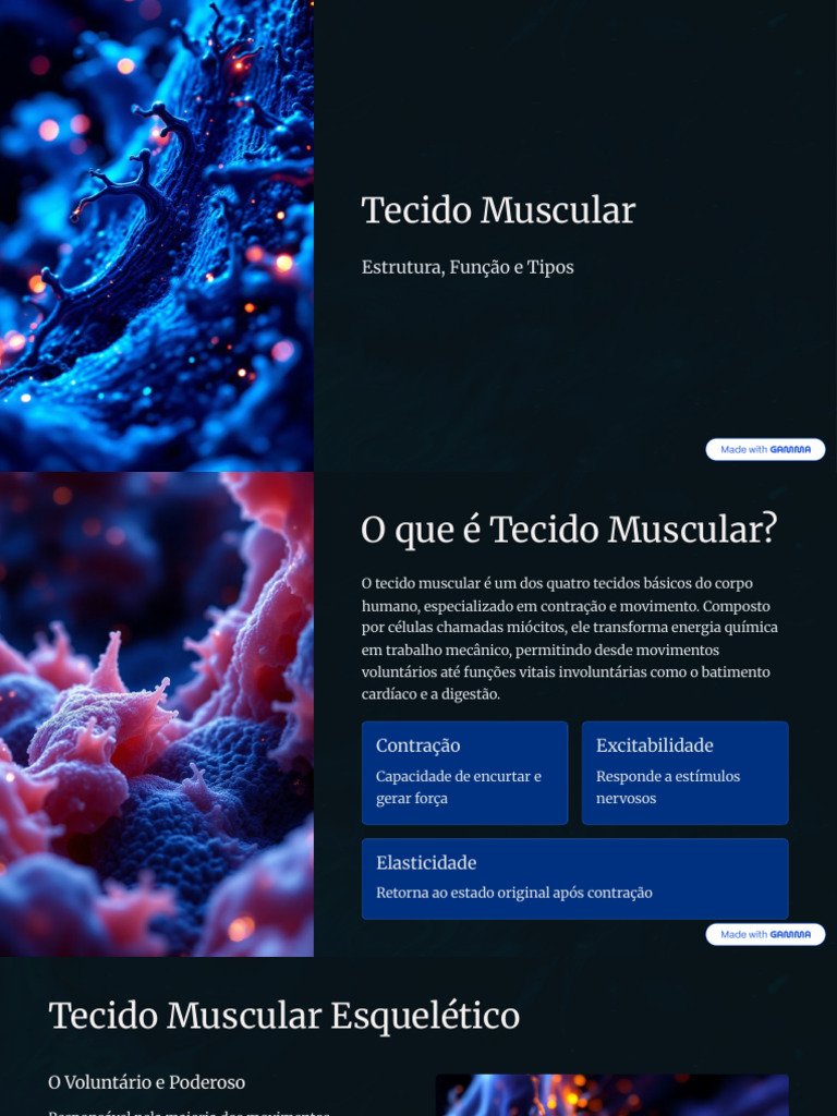 Tipos e Funções do Tecido Muscular | PDF | Músculo | Anatomia