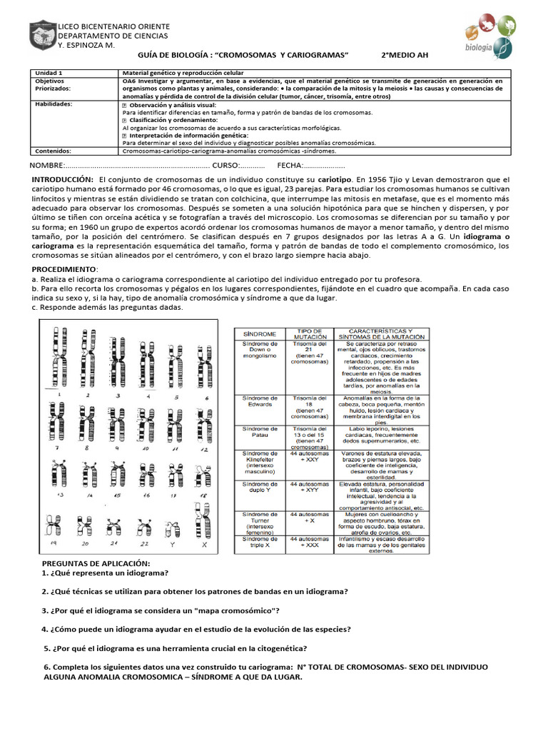 Guia Cromosomas y Cariograma 2025 | PDF | Cromosoma | Cariotipo