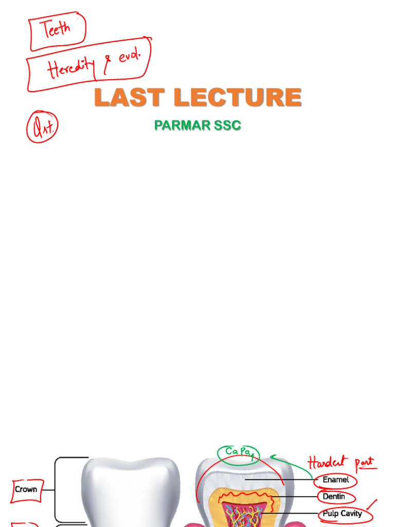Ammu Last Lecture | PDF