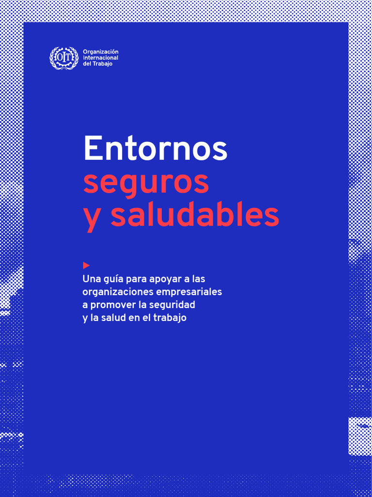 Entorno de Trabajo Seguro y Saludable 1755533722 | PDF | Organización ...