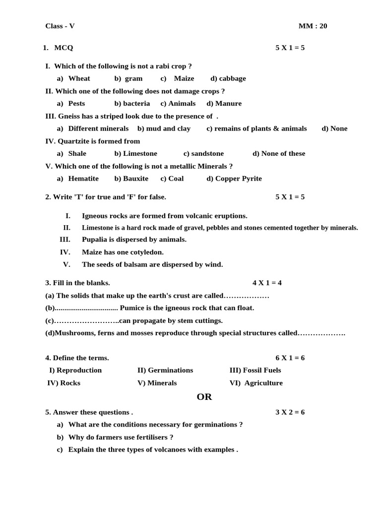 Class-5th FA 1 | PDF
