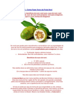 Suco - de - Noni