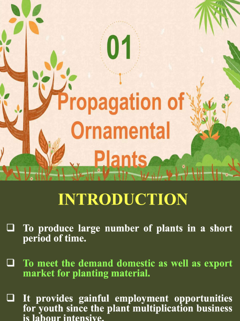 Propagating Ornamental Plants by Cuttings | PDF