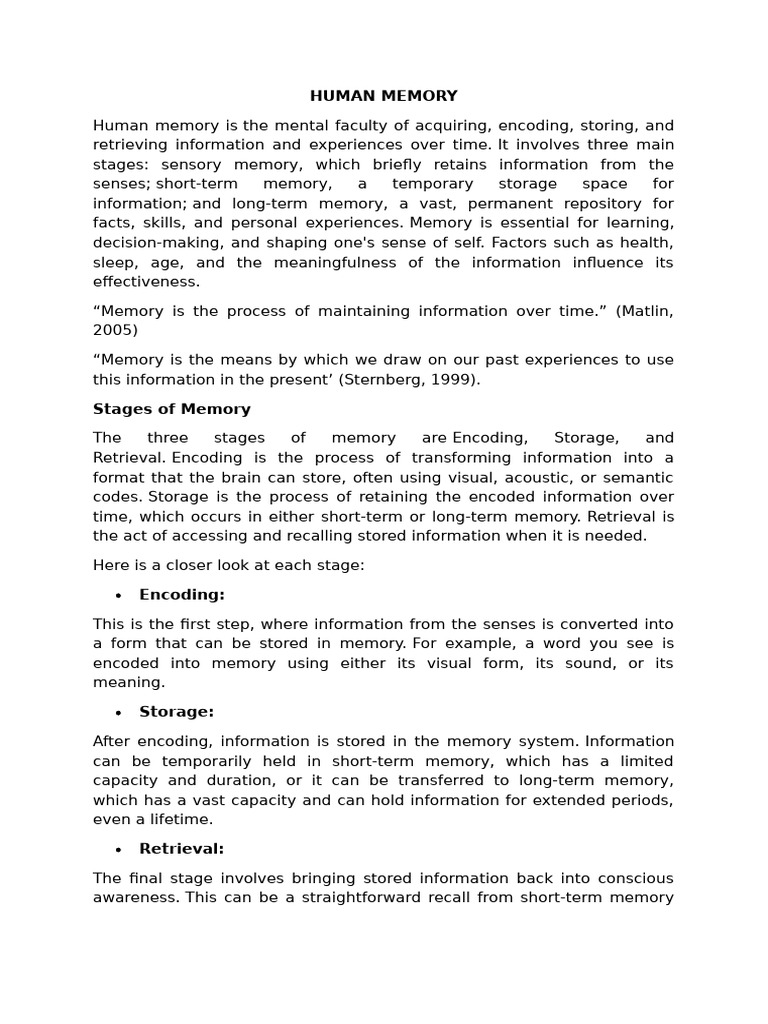 Human Memory | PDF | Memory | Long Term Memory