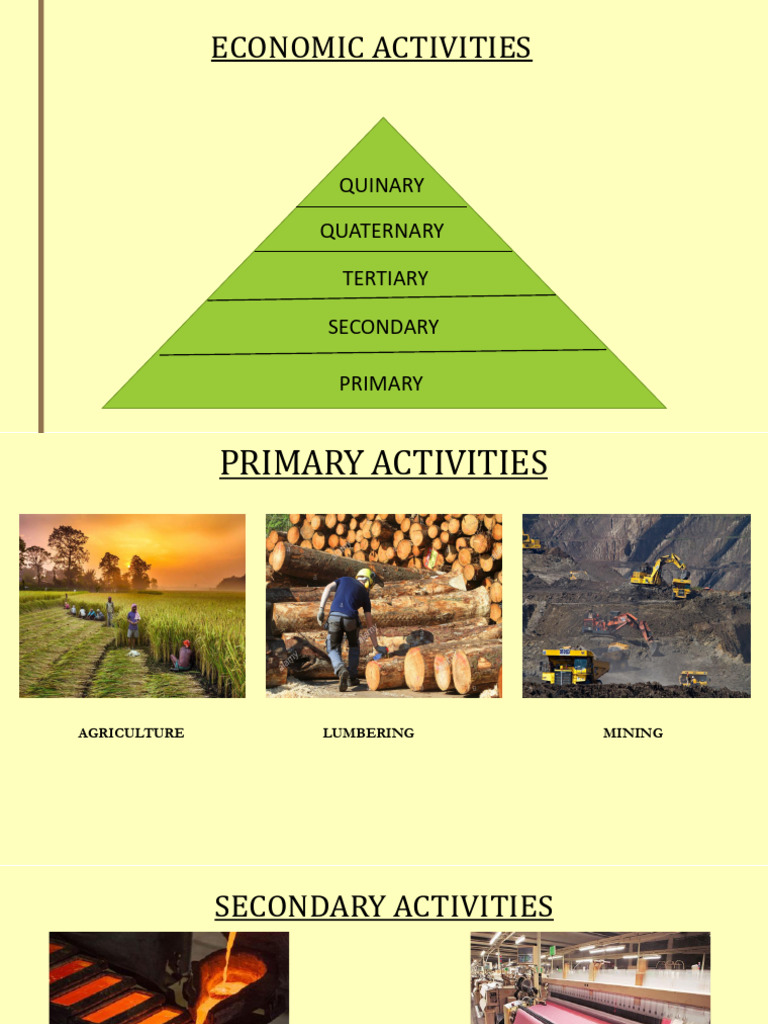 Economic Activities: Quinary | PDF | Tourism | Outsourcing