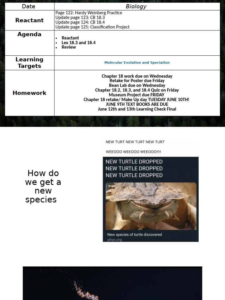 Speciation and Molecular Evolution Guide | PDF | Evolution | Gene