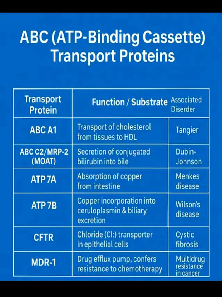 ABC Transport Proteins and Their Functions | PDF