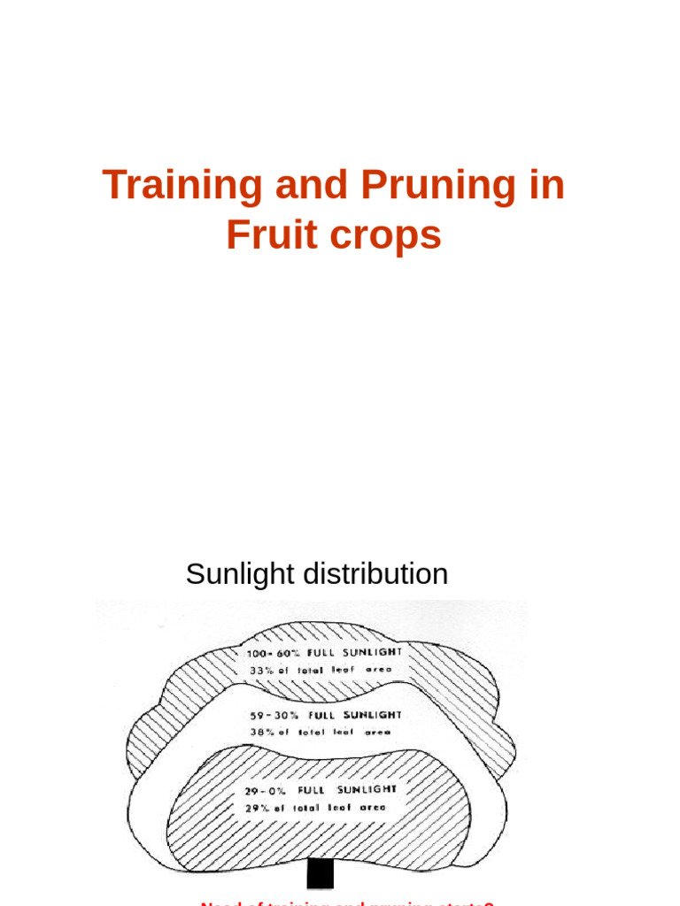 L 11 Training and Pruning | PDF | Pruning | Trees