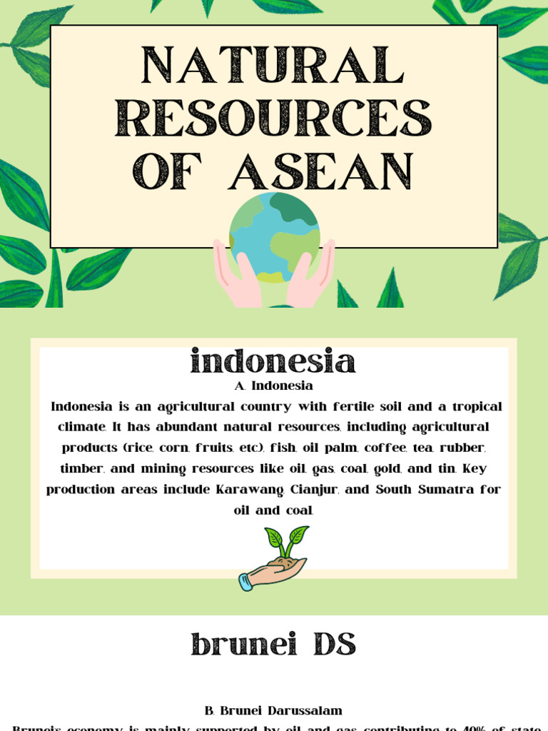 ASEAN Natural Resources Overview | PDF