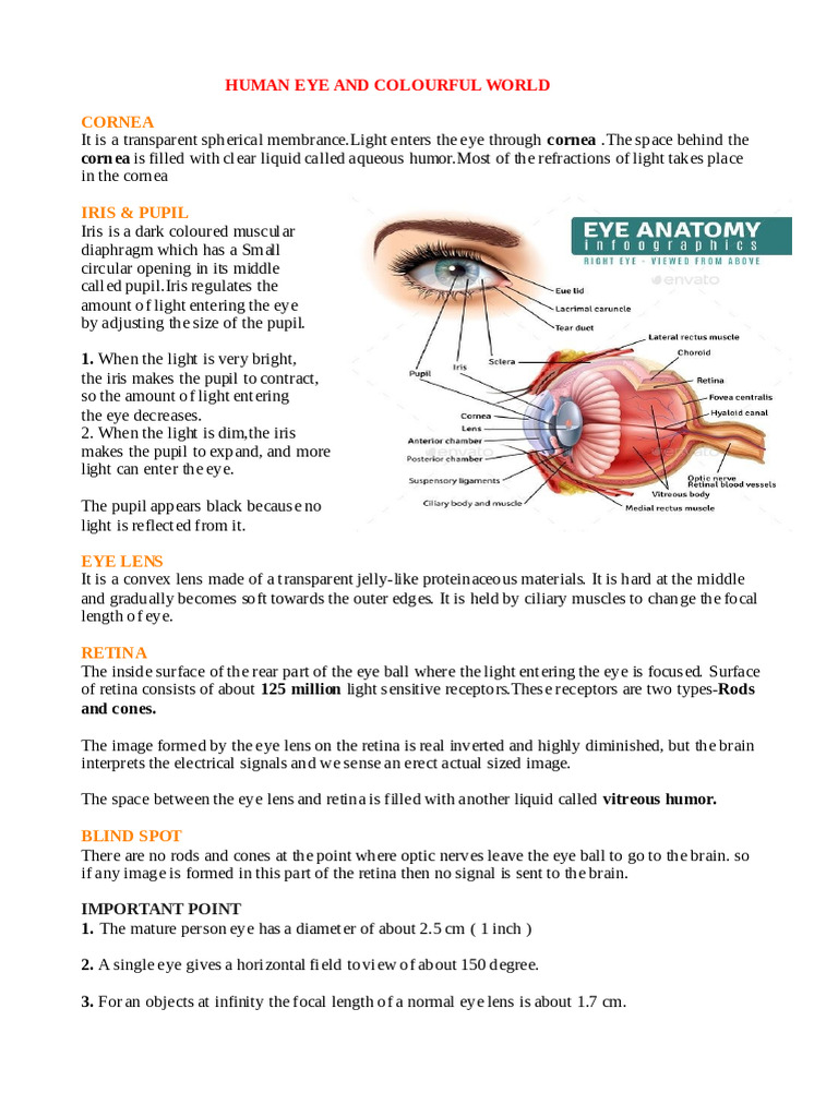 Inbound 8809211389259160736 | PDF | Eye | Sunset