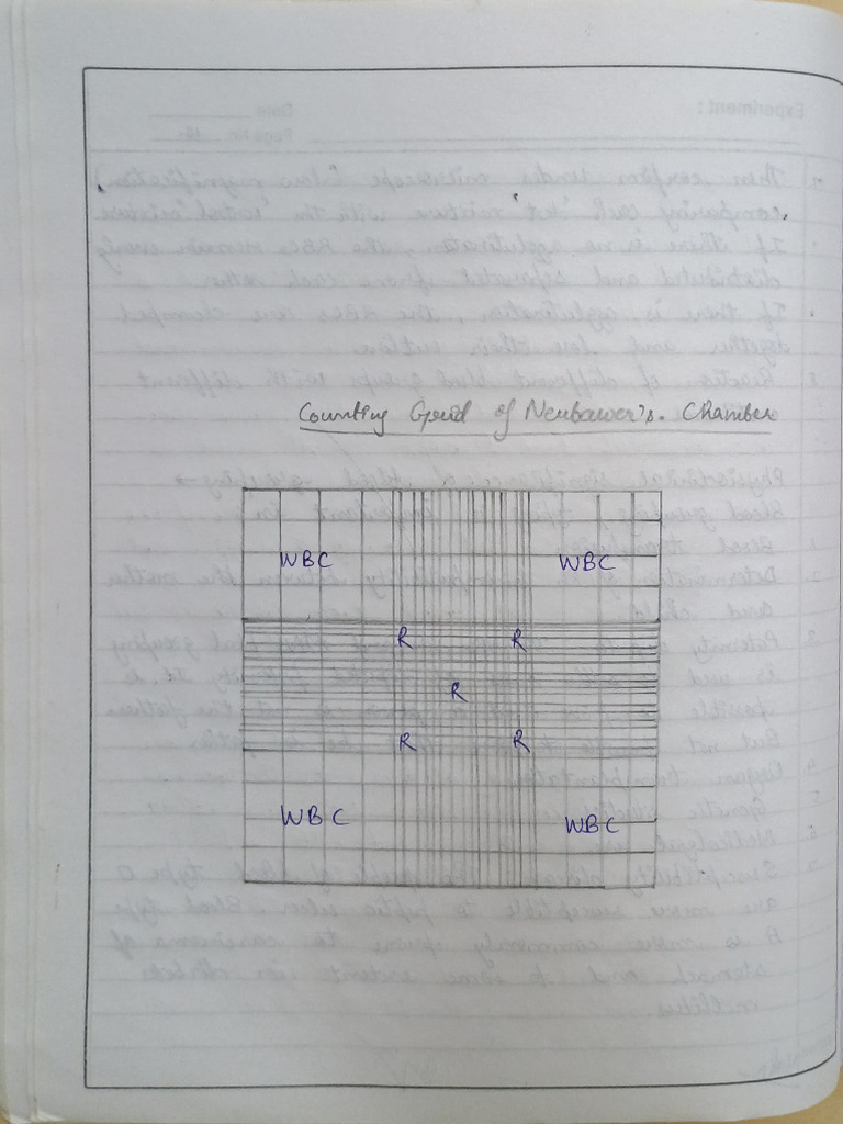 Experiment Documentation Template | PDF