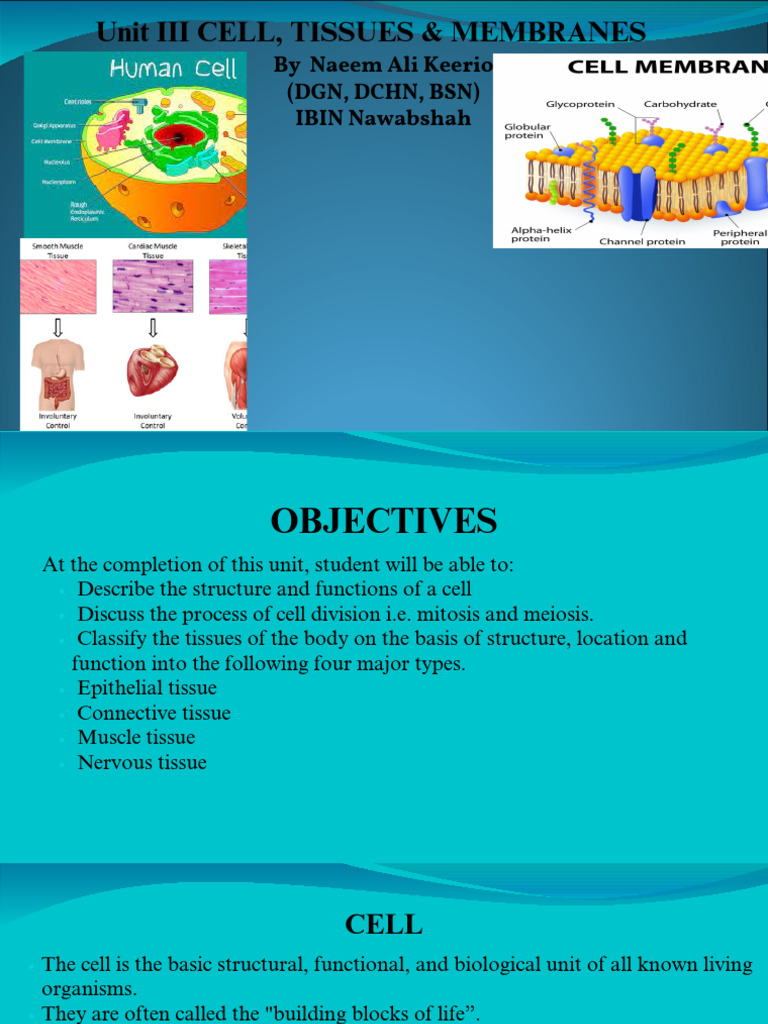 Cell Structure and Tissue Types Overview | PDF | Endoplasmic Reticulum ...