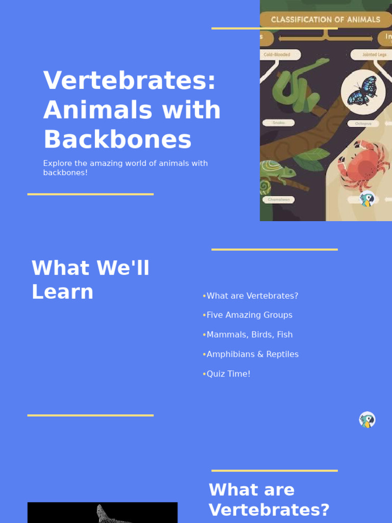 Understanding Vertebrates and Backbones | PDF | Amphibian | Reptile
