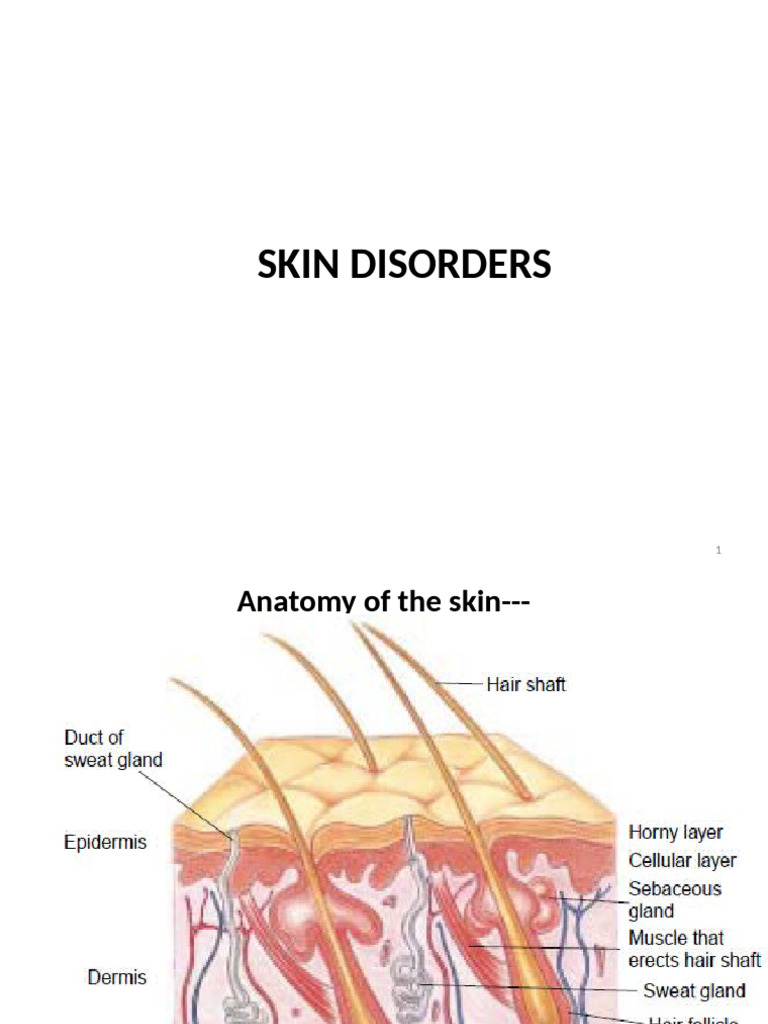 Understanding Skin Disorders and Lesions | PDF | Dermatitis | Allergy