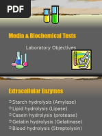 Media Biochemical Tests