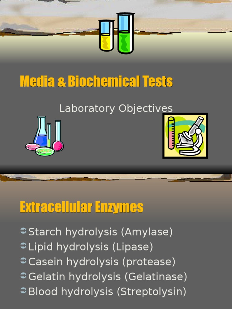 Media Biochemical Tests Staphylococcus Microbiology