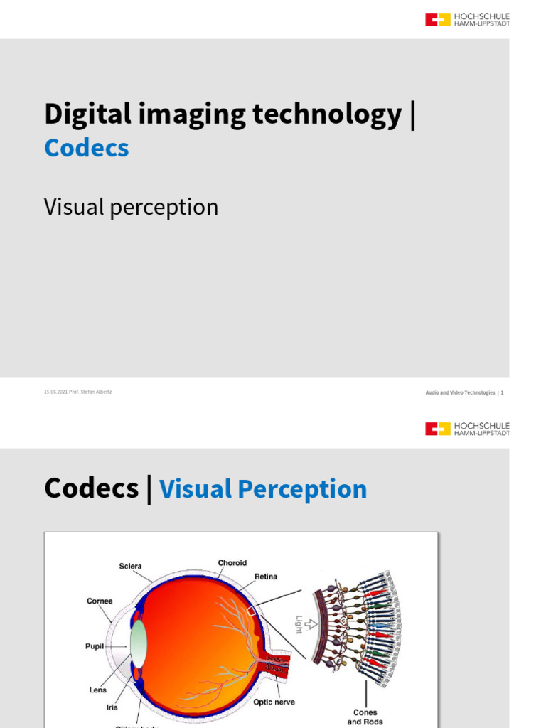 Understanding Video Codecs and Perception | PDF | Video | Digital ...