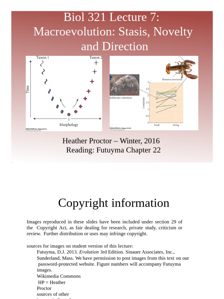 Macroevolution: Stasis and Novelty Trends | PDF | Biology | Biological ...