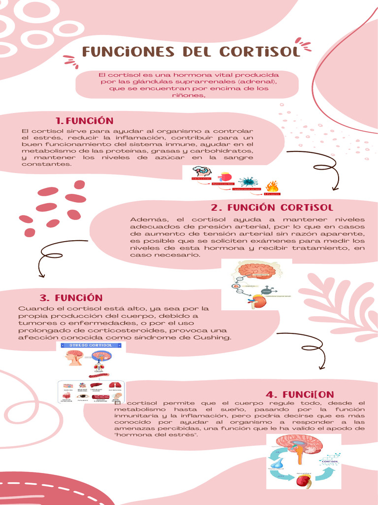 Funciones del Cortisol en el Cuerpo | PDF