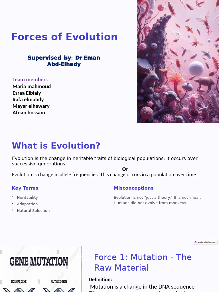 Forces Driving Evolutionary Change | PDF | Natural Selection | Evolution