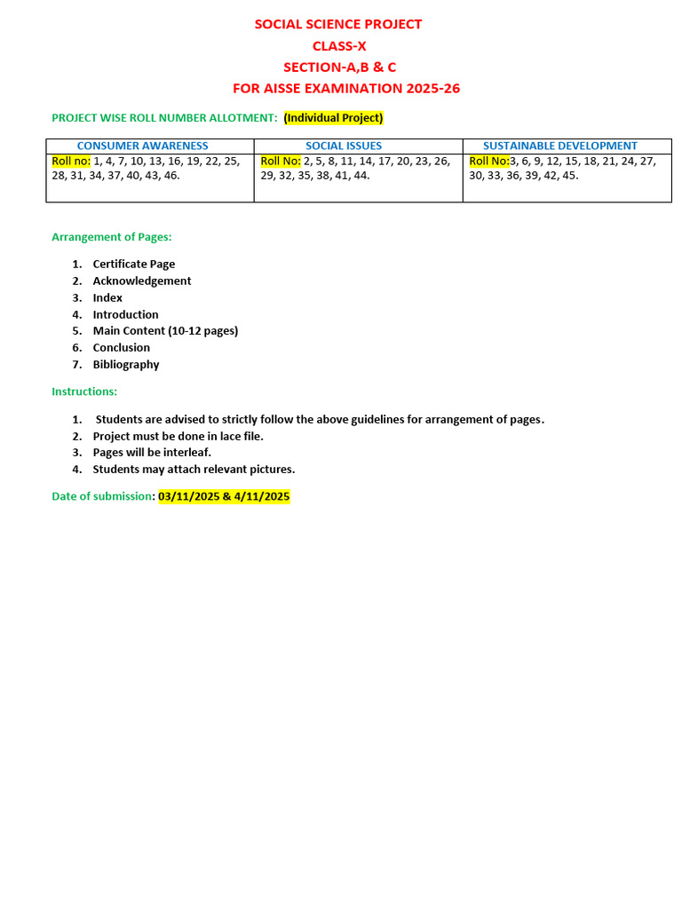Class X Social Science Project Guidelines | PDF