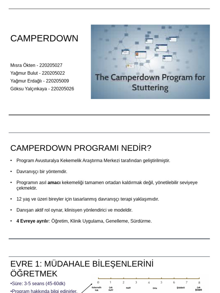 Camperdown Sunum | PDF