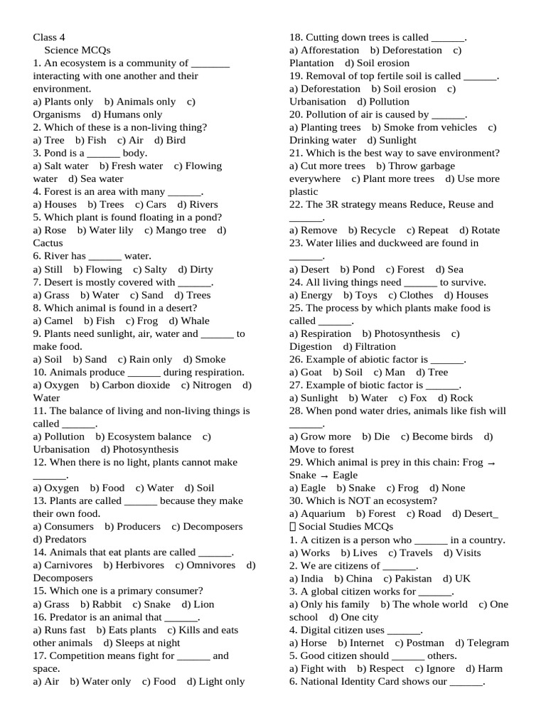 Class 4 | PDF