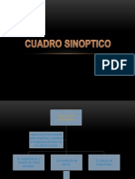 Cuadro Sinoptico