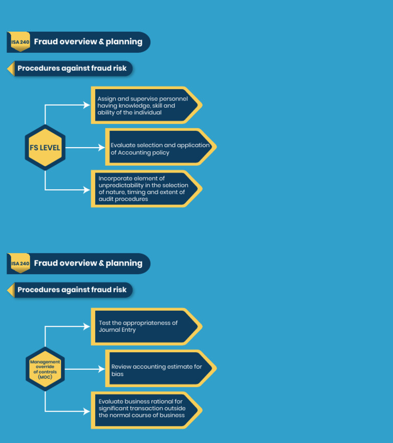 3 Performance Audit Procedures | PDF