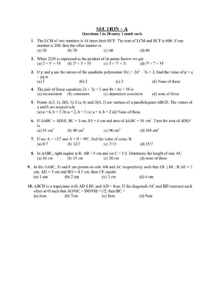 Grade 10 Sample Paper 25th January | PDF