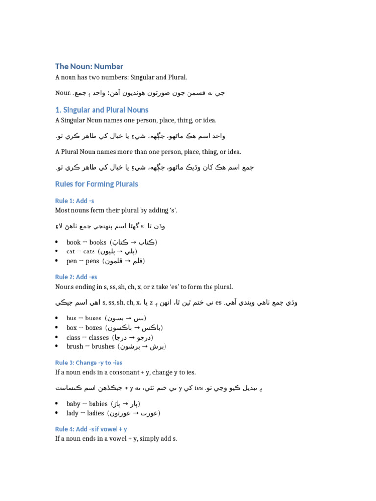 The Noun Number | PDF