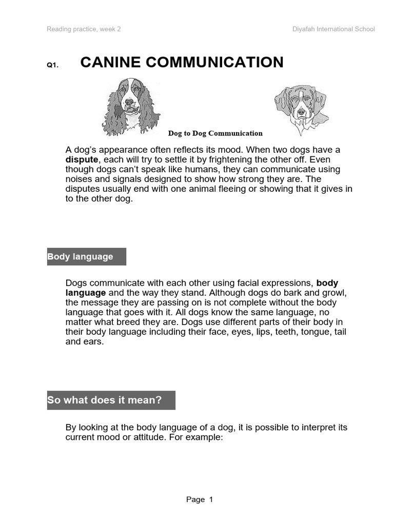 Understanding Dog Communication Signals | PDF | Body Language | Dogs