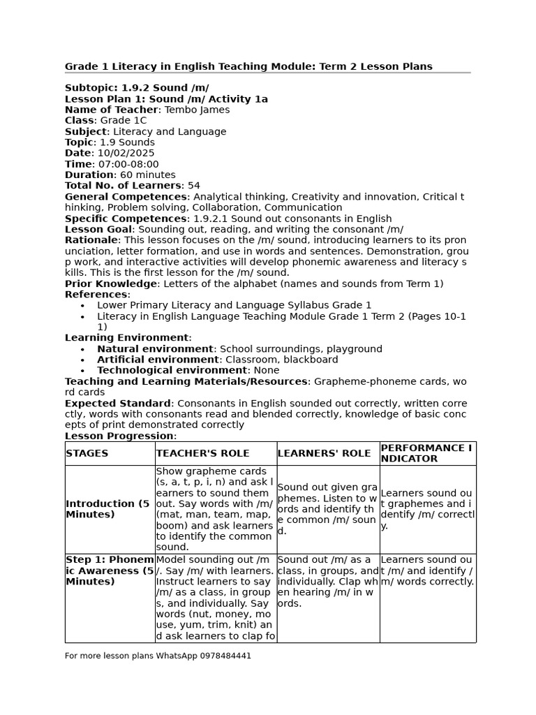 Grade 1 Literacy in English Lesson Plans Term 2 | PDF | Phonics | Literacy