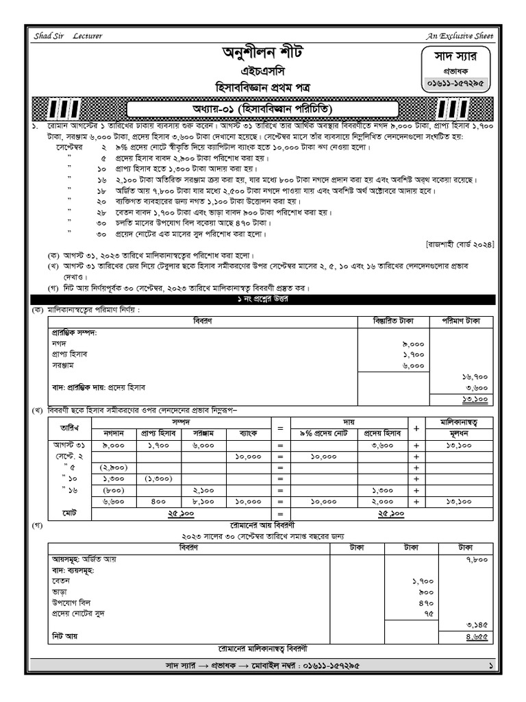 Shad Sir's Exclusive Financial Sheet | PDF