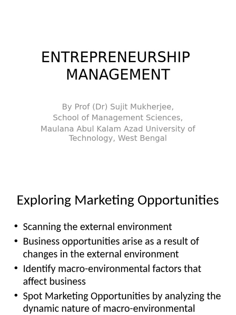 Identifying Marketing Opportunities in Entrepreneurship | PDF | Demand ...