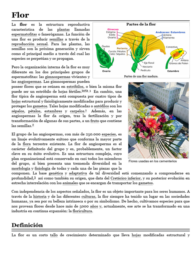 Partes y morfología de la flor | PDF | Flores | Reproducción de plantas