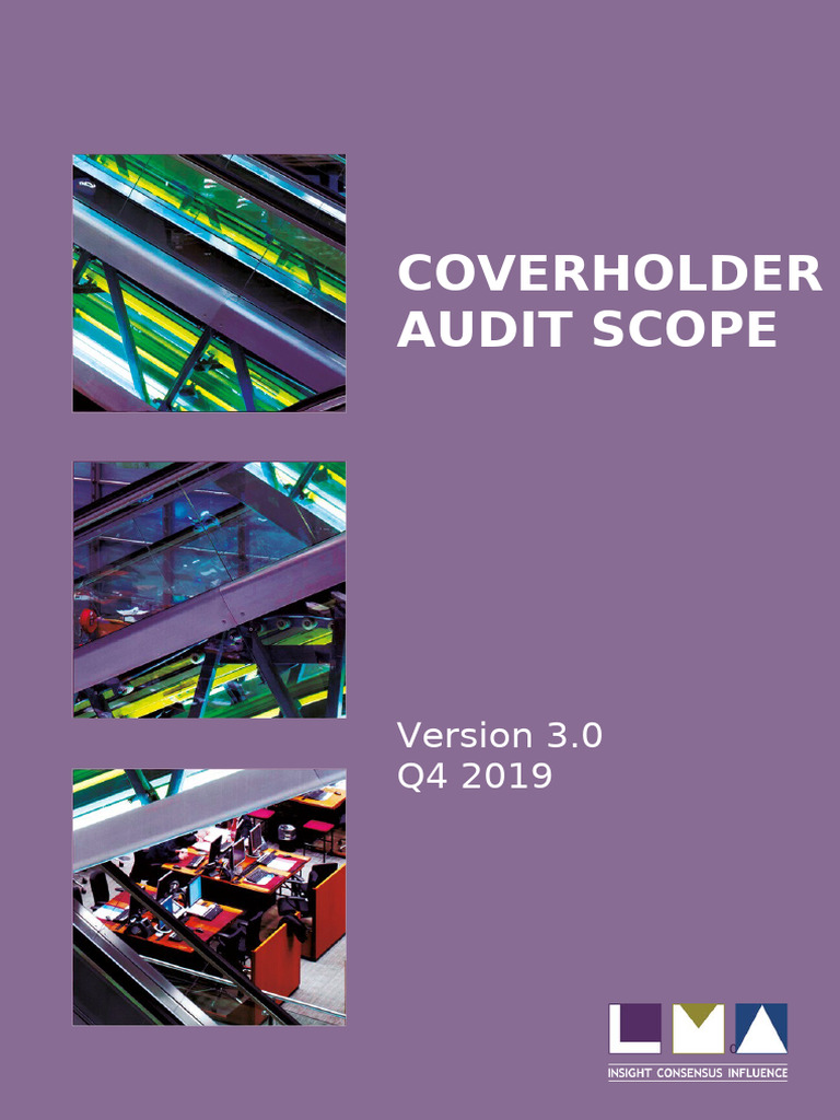 CH Audit Scope - V3.0 | PDF | Insurance | Audit