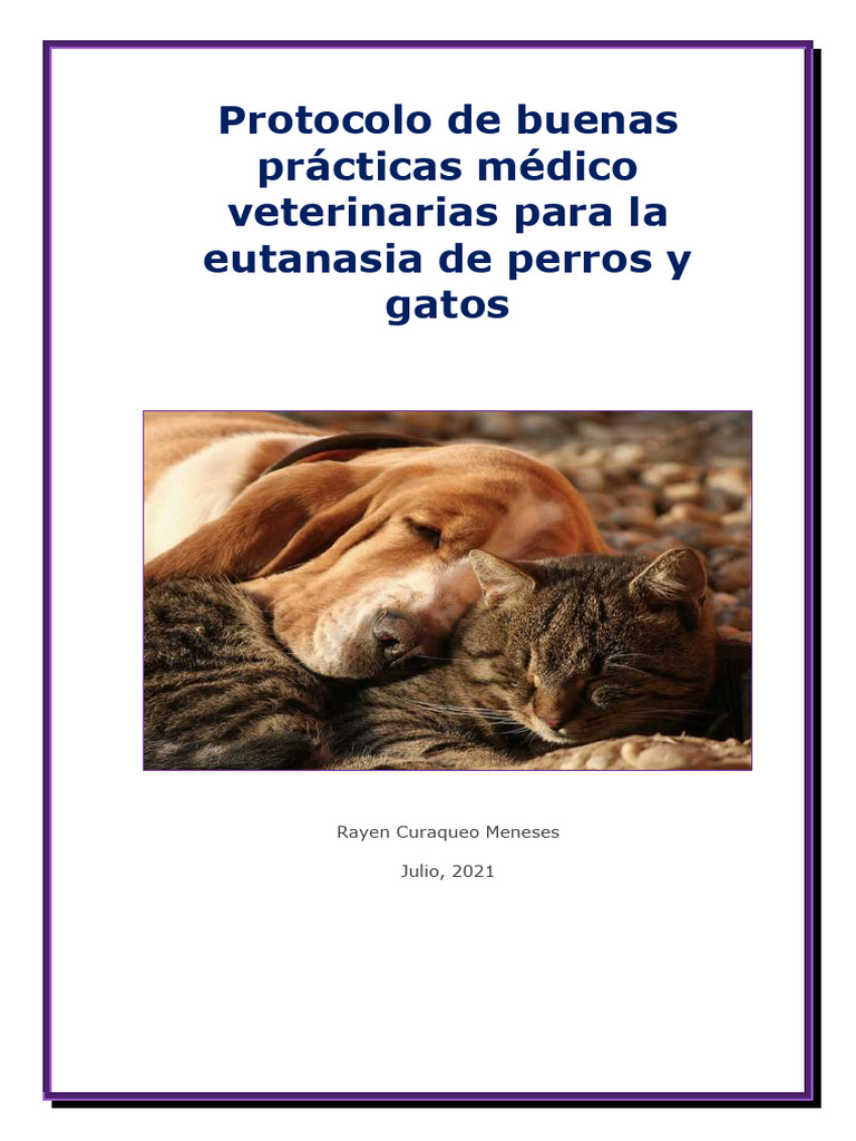 Protocolo de Eutanasia en Perros y Gatos | PDF | Terapia intravenosa ...