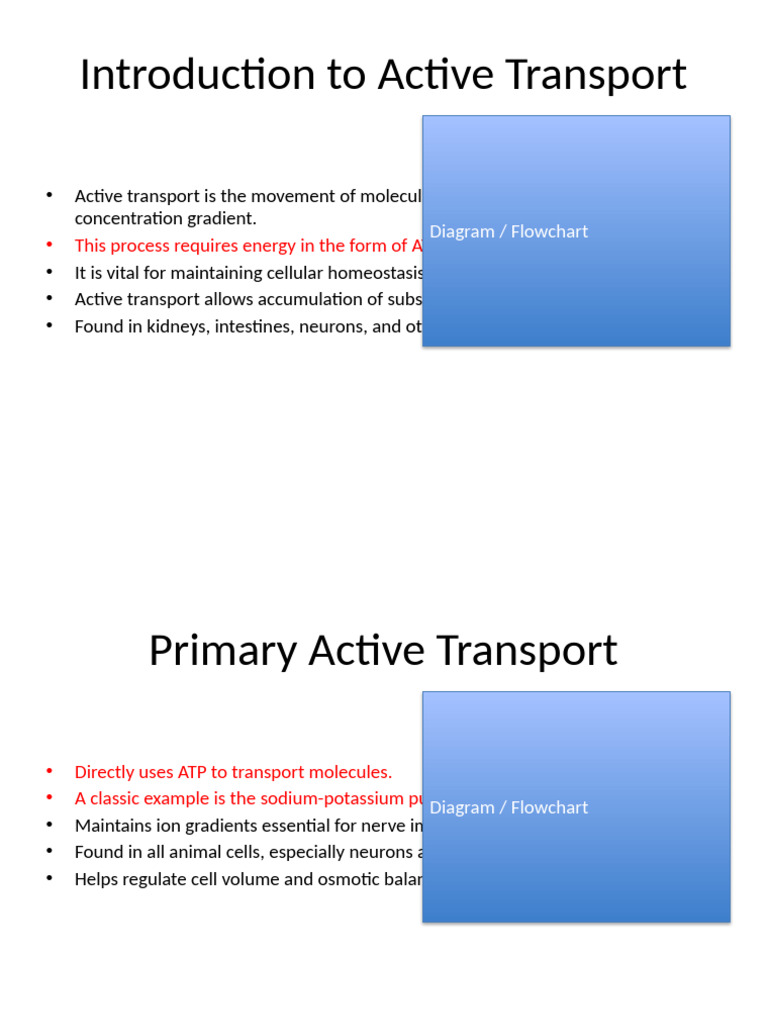 Active Transport: Diagrams and Functions | PDF | Cell Biology | Biophysics
