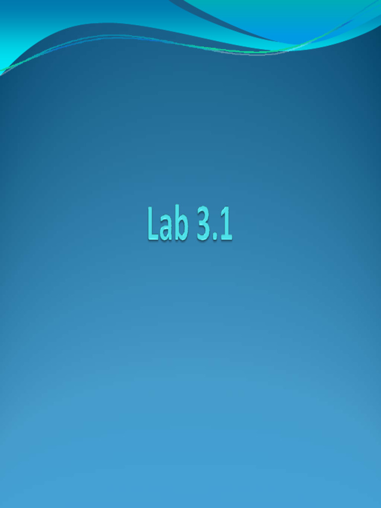LabInstructions 3 | PDF | Software Development | Computing