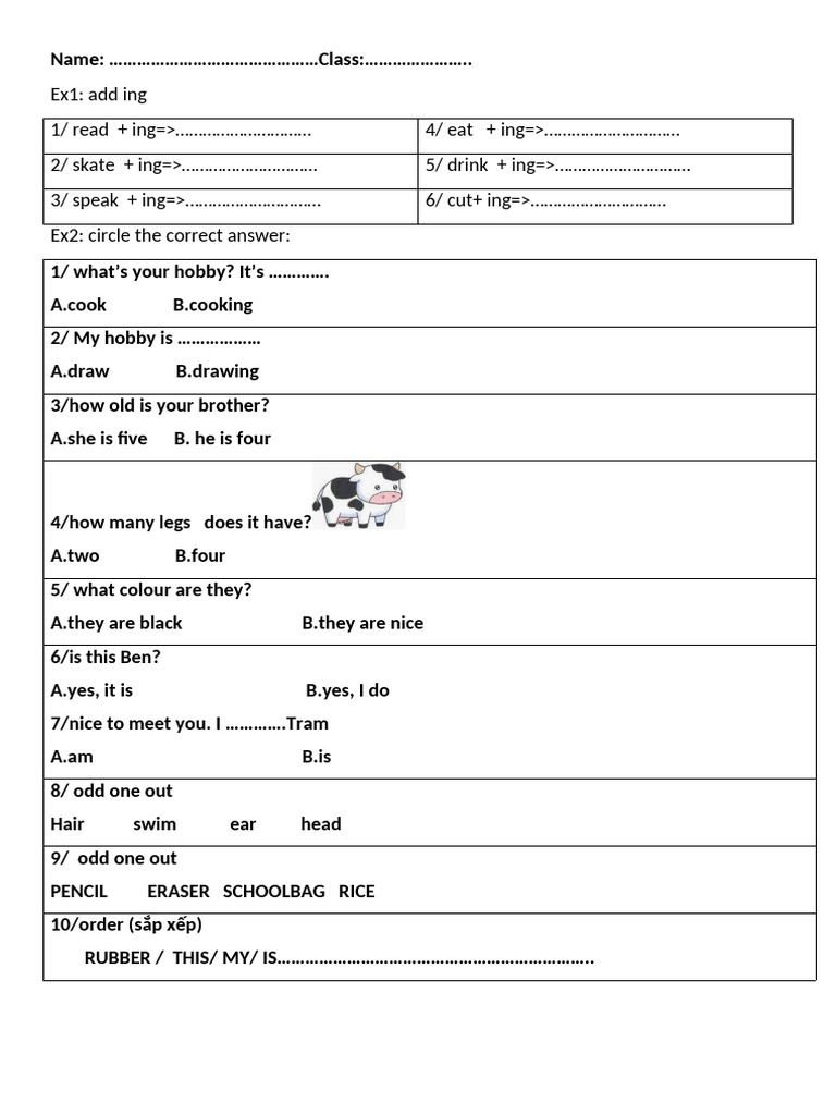English Grammar Exercises for Beginners | PDF