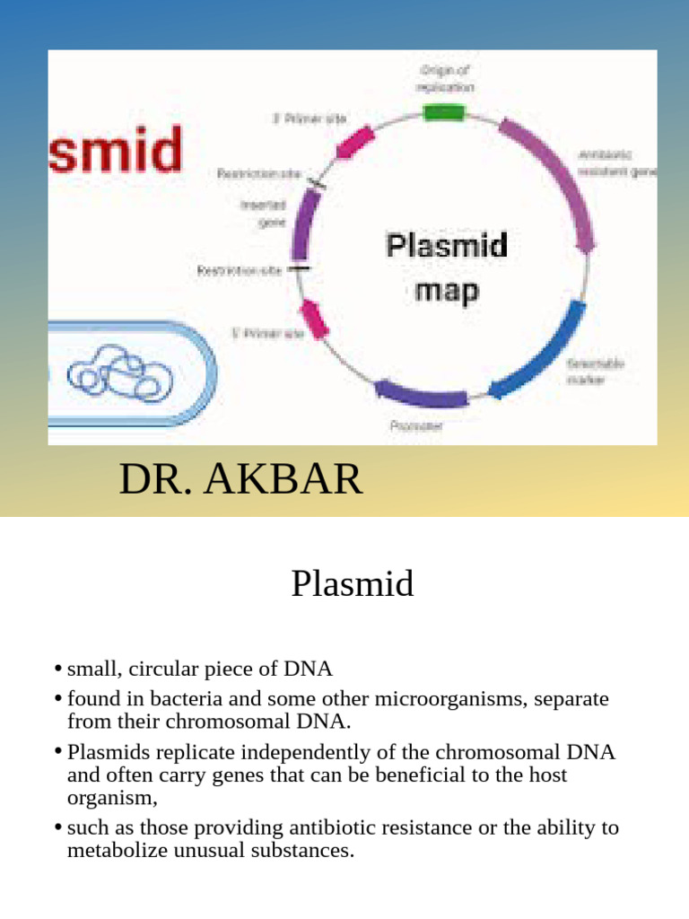 Understanding Plasmids and Their Functions | PDF | Plasmid | Molecular ...