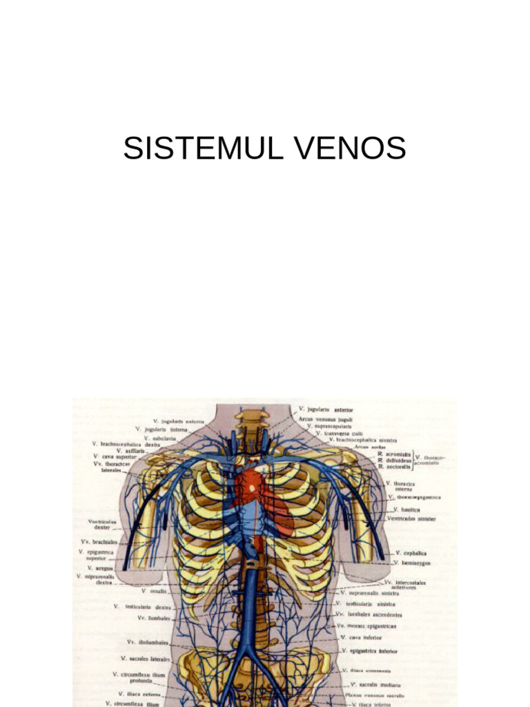 Sistemul Venos | PDF