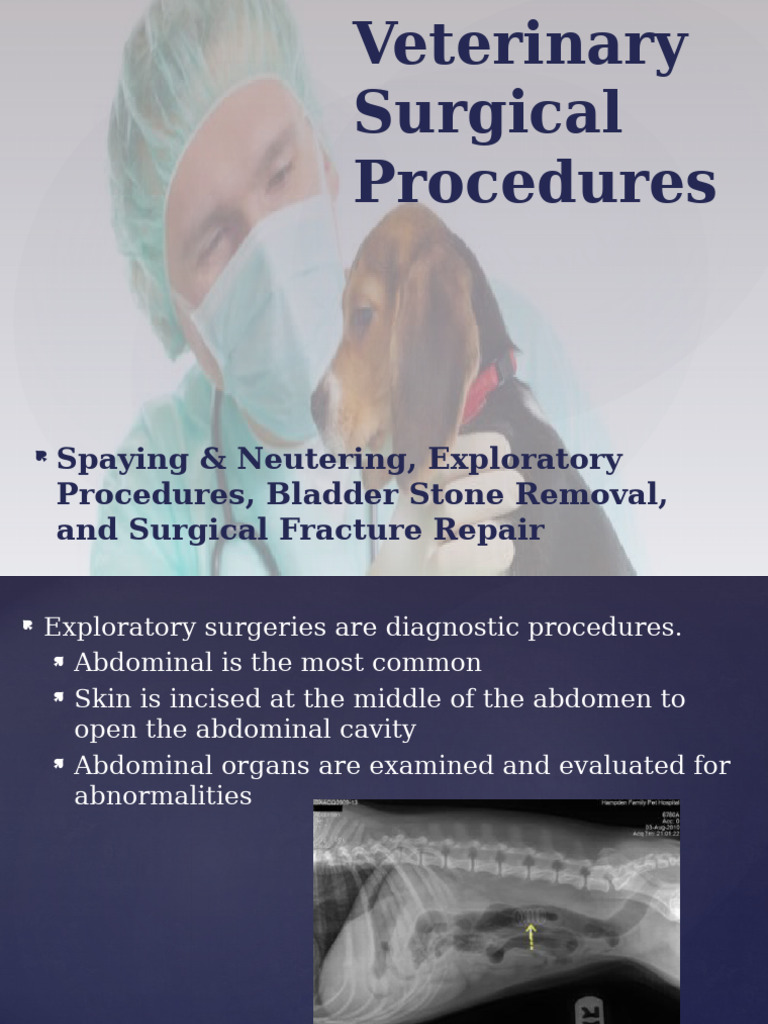 Veterinary Surgical Procedures Overview | PDF | Neutering | Medical ...