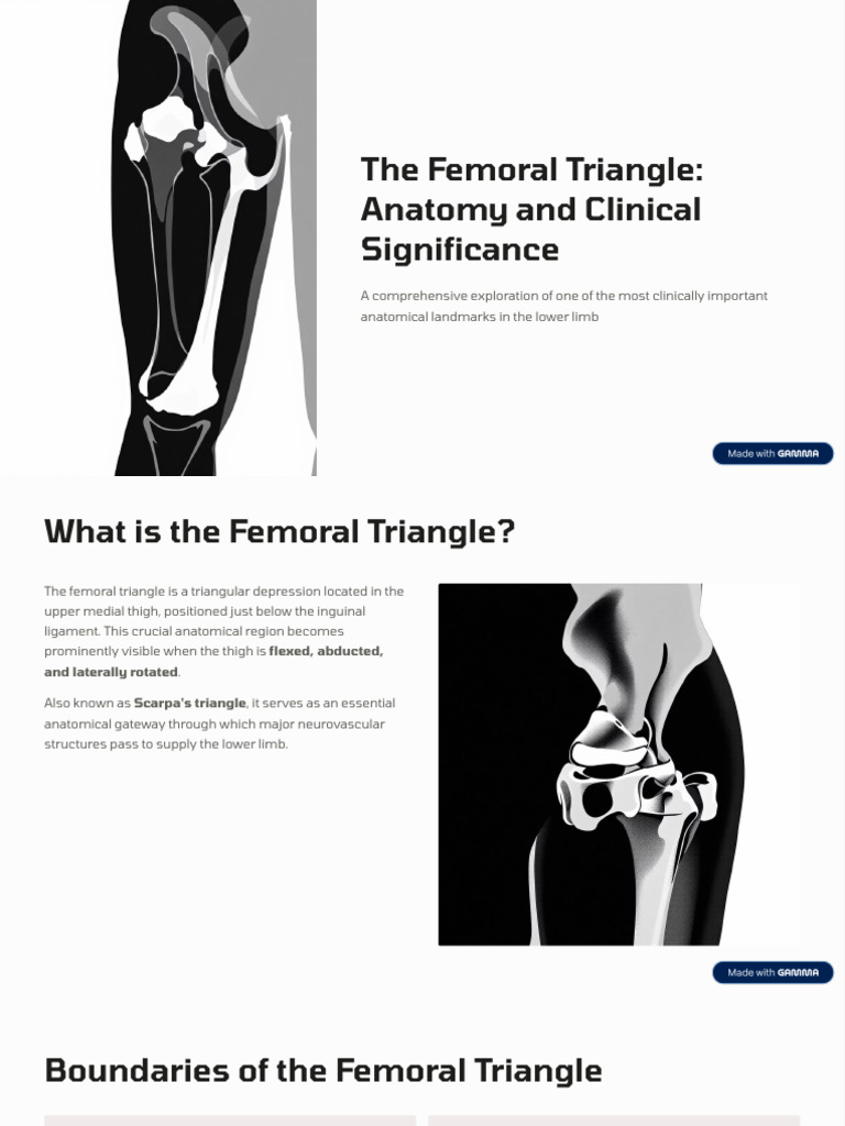 Femoral Triangle: Anatomy & Clinical Relevance | PDF | Human Leg | Vein