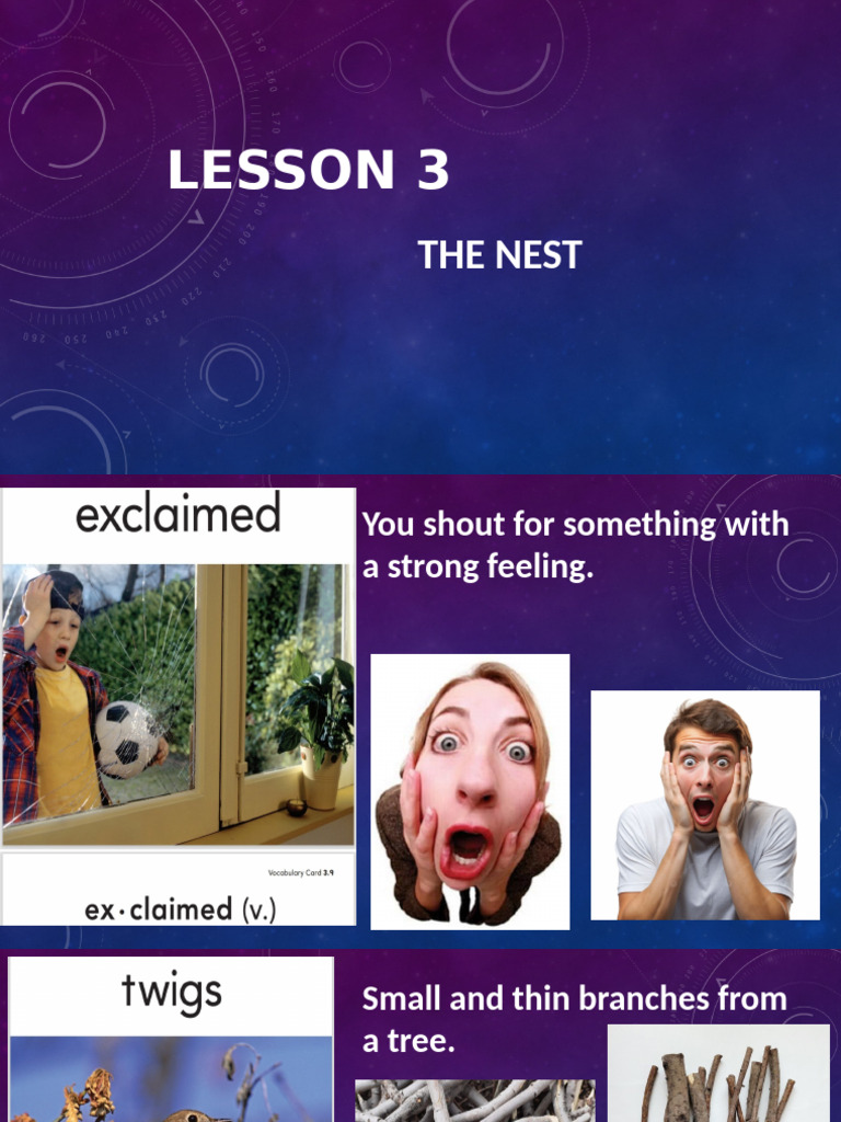 Understanding Nest Concepts and Terms | PDF