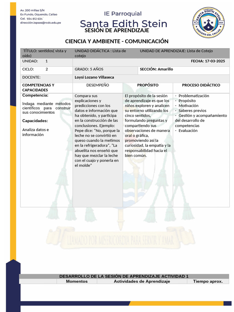 Sesion 17 Marzo 2025 | PDF | Aprendizaje | Ciencia cognitiva